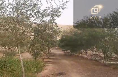 Farm - Studio for rent in Seih Al Bana - Ras Al Khaimah