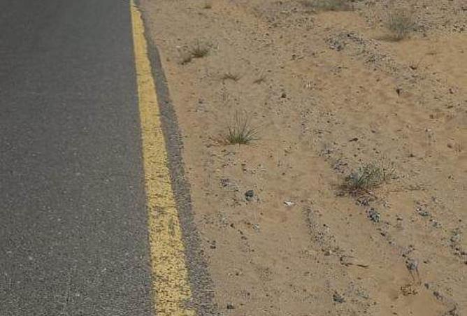 88294494 - صورة العقار 3