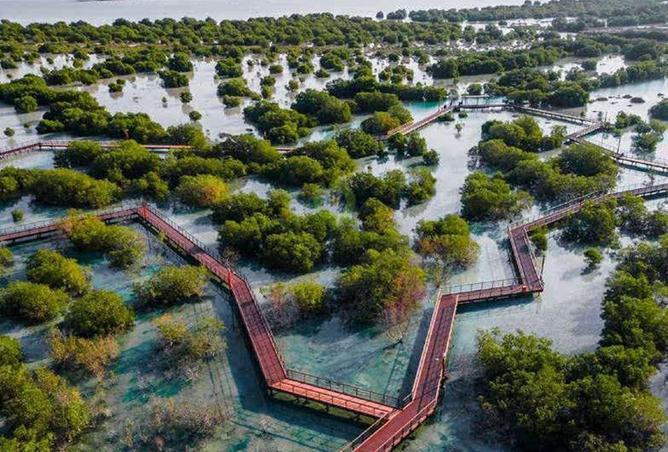 76969221 - Property Main Image