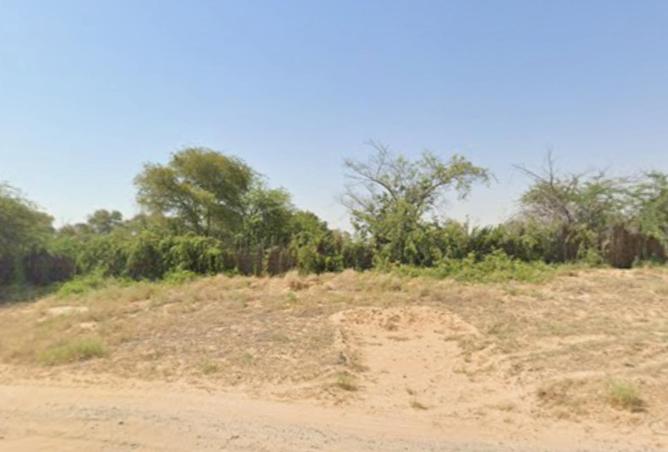 79002384 - Property Image 3