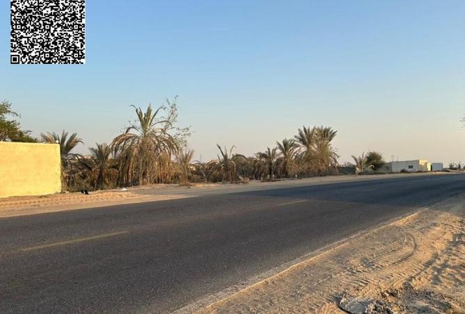 16119351 - Property Image 3