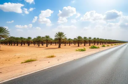 أرض - استوديو للبيع في المدفق - رأس الخيمة