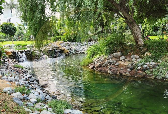 75031156 - Property Image 2