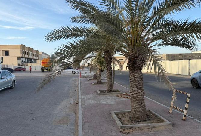 87458451 - صورة العقار 3
