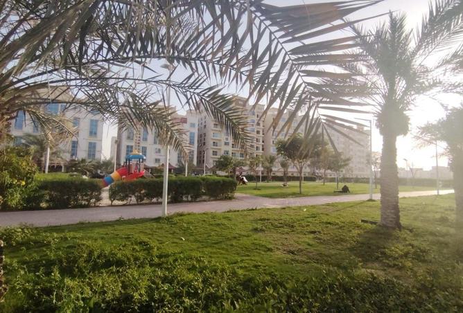 61664624 - صورة العقار 2