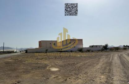 Land - Studio for sale in Masfoot 3 - Masfoot - Ajman