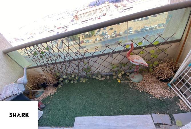 73115083 - صورة العقار 2