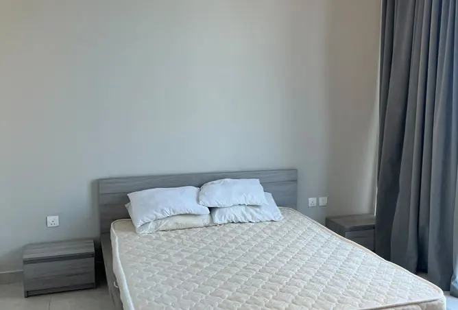 163712608 - صورة العقار 2