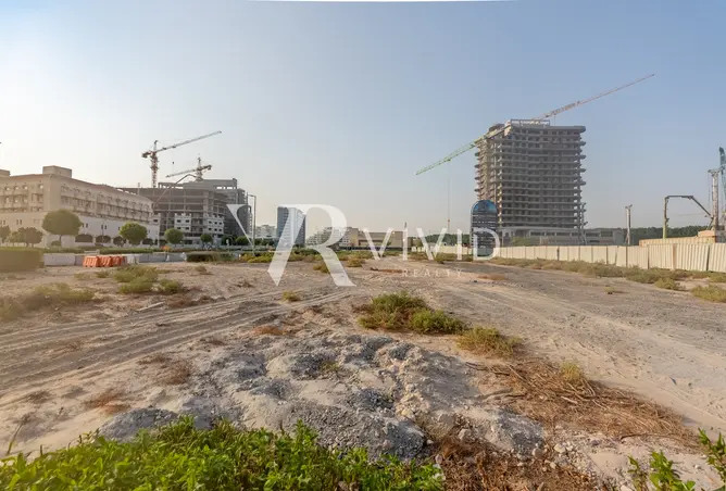162355499 - Property Image 3