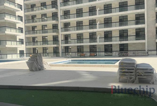 115462244 - Property Image 3