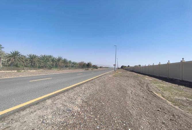 16237367 - Property Image 3