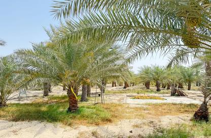 Farm - Studio for sale in Al Rahba - Abu Dhabi