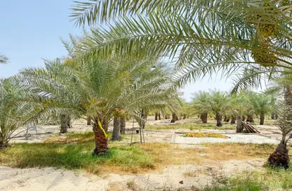 Farm - Studio for sale in Al Rahba - Abu Dhabi