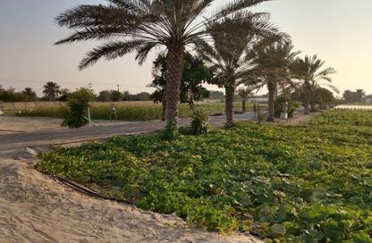 Farm - Studio for sale in Al Rahba - Abu Dhabi