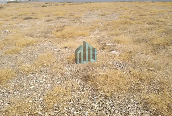 147769041 - صورة العقار 3