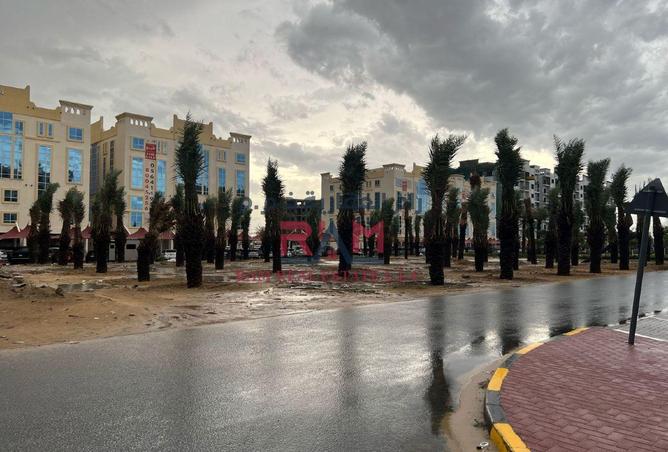 54396475 - Property Image 3