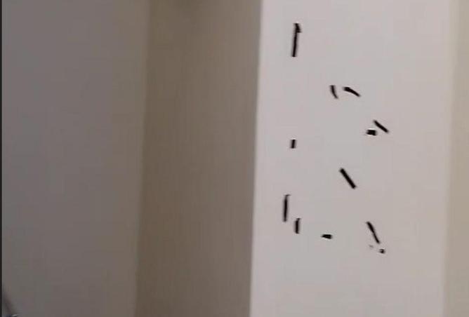 65566517 - Property Image 3