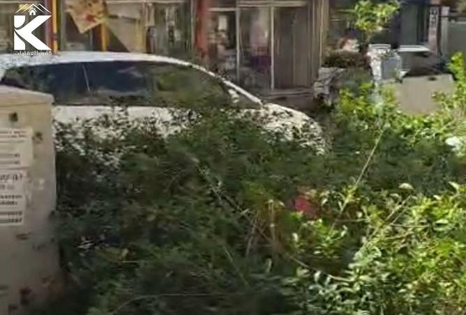 16264085 - Property Image 3