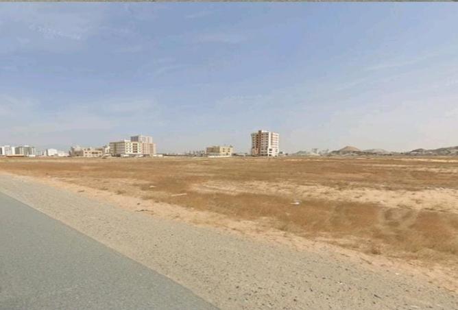 141447825 - Property Image 3