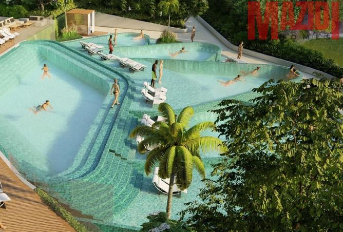 56130181 - Property Image 3