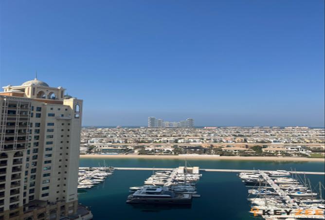 113730558 - صورة العقار 3