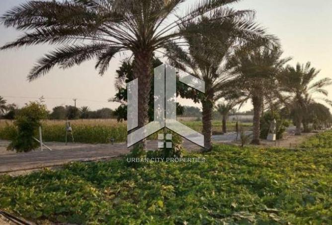 122440282 - الصورة الرئيسية للعقار