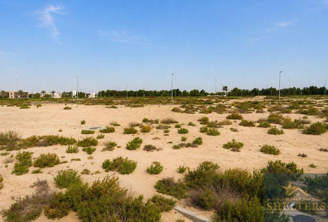 110974116 - Property Image 3