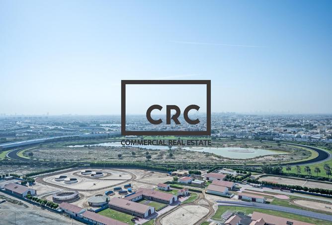 16183862 - Property Image 3