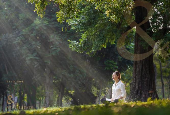 15095751 - Property Image 3