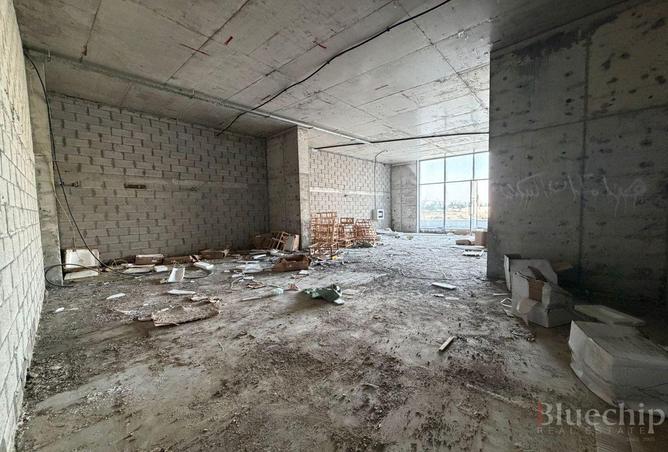 16226069 - Property Image 3