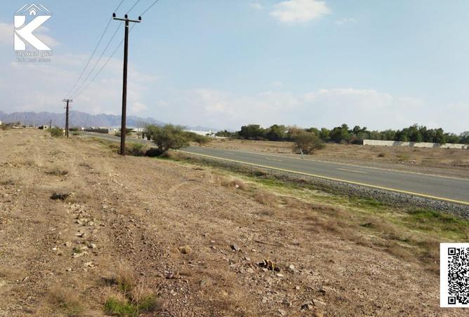 16046534 - صورة العقار 3