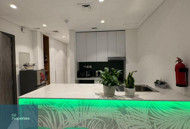 130220556 - Property Image 3