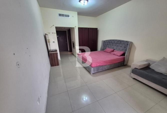 16244079 - Property Image 2