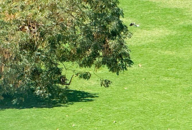 67458050 - Property Image 2