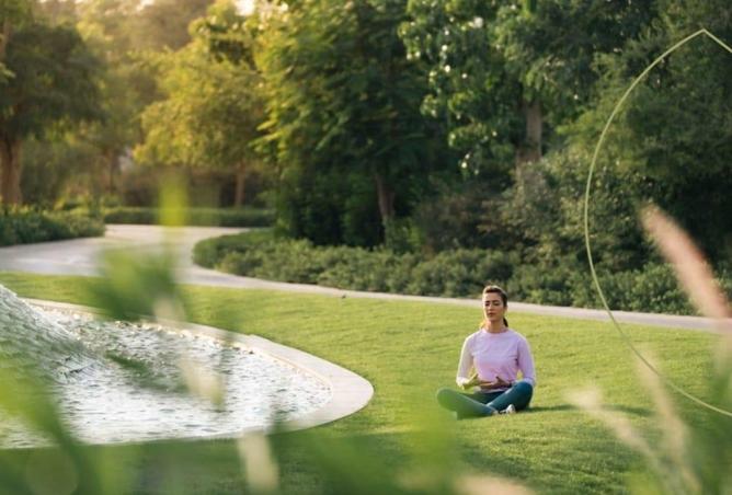 15985576 - Property Image 3