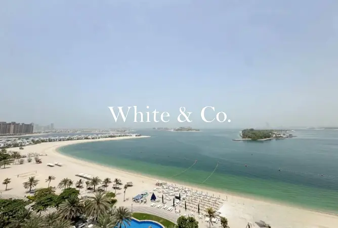 165027869 - Property Image 3