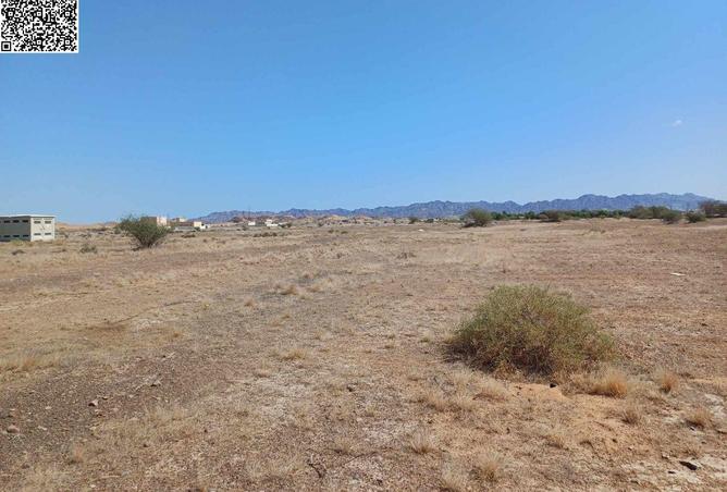 79831691 - صورة العقار 3