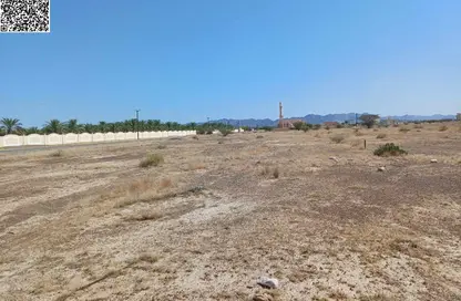 أرض - استوديو للبيع في المنامة - عجمان