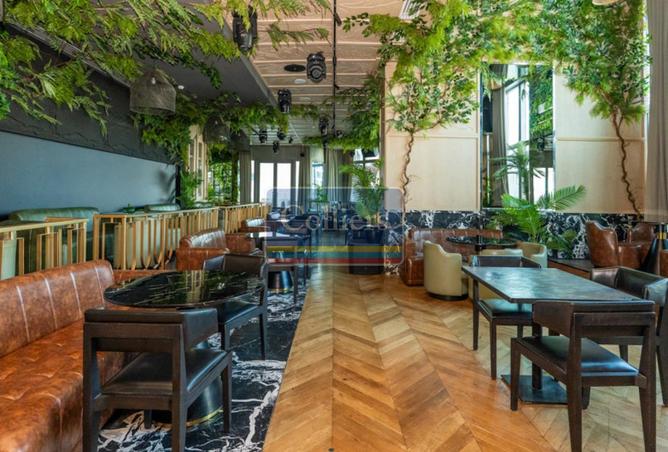 16181260 - صورة العقار 3