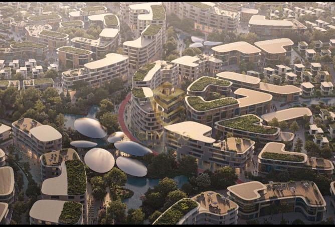 16265428 - Property Image 2