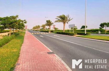 أرض - استوديو للبيع في بيت سيح شعيب - تلال جبل علي - جبل علي - دبي