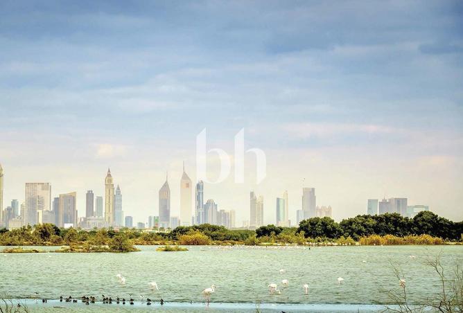 91817809 - صورة العقار 3