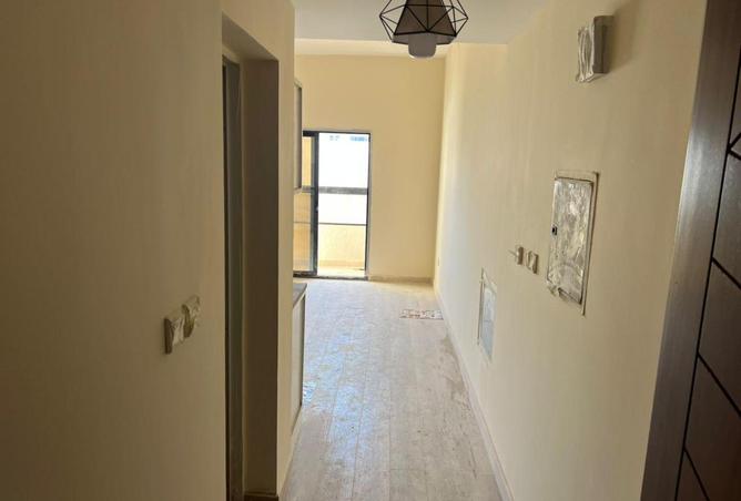 16115151 - Property Image 3