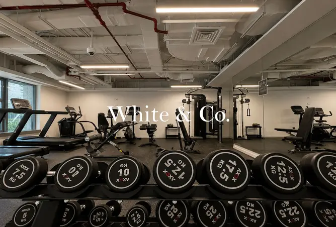 128827562 - Property Image 3