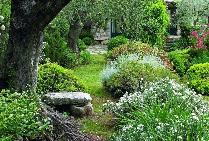 15957870 - صورة العقار 3