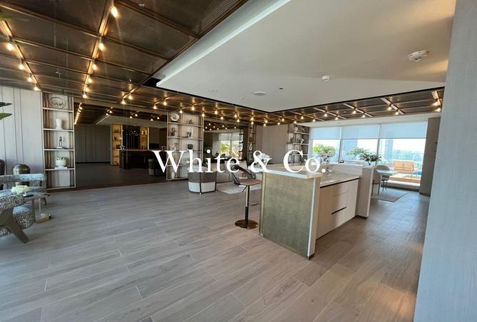 53572564 - صورة العقار 3