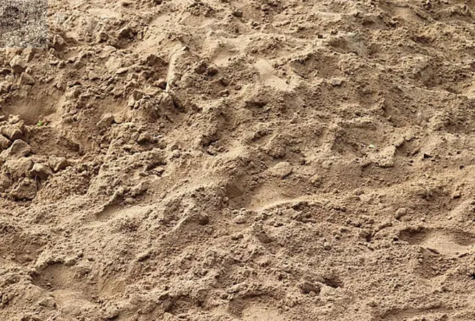 146005064 - صورة العقار 2
