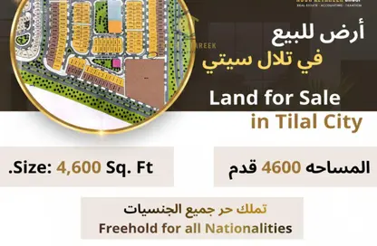 أرض - استوديو للبيع في D تلال سيتي - تلال سيتي - الشارقة