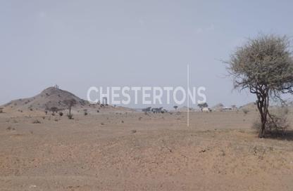 Land - Studio for sale in Hamriyah Free Zone - Sharjah Land - Studio for sale in Hamriyah Free Zone - Sharjah