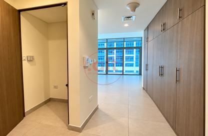 Apartment - Studio - 1 for rent in Park View - Saadiyat Island - Abu Dhabi Apartment - Studio - 1 for rent in Park View - Saadiyat Island - Abu Dhabi